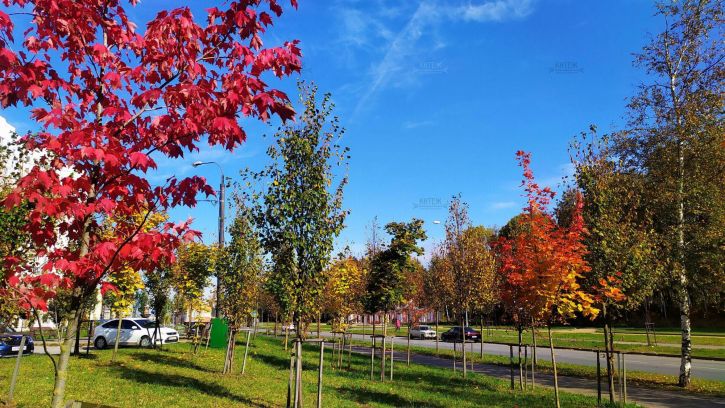 3-комн квартира 65 лет Победы ул, д.45