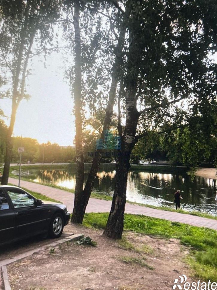 Торговое помещение улица Пухова, 17,  д. 17