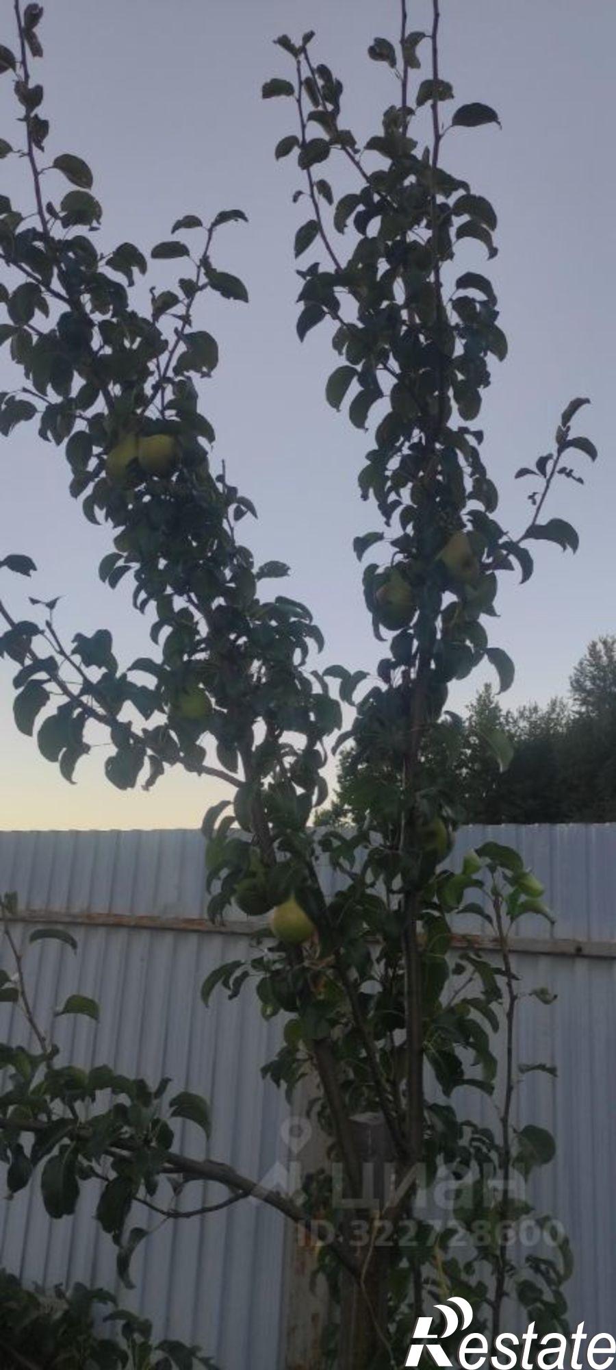 Купить дачу, дом, коттедж за 11 249 000 рублей на 3-я Клубничная улица, 1