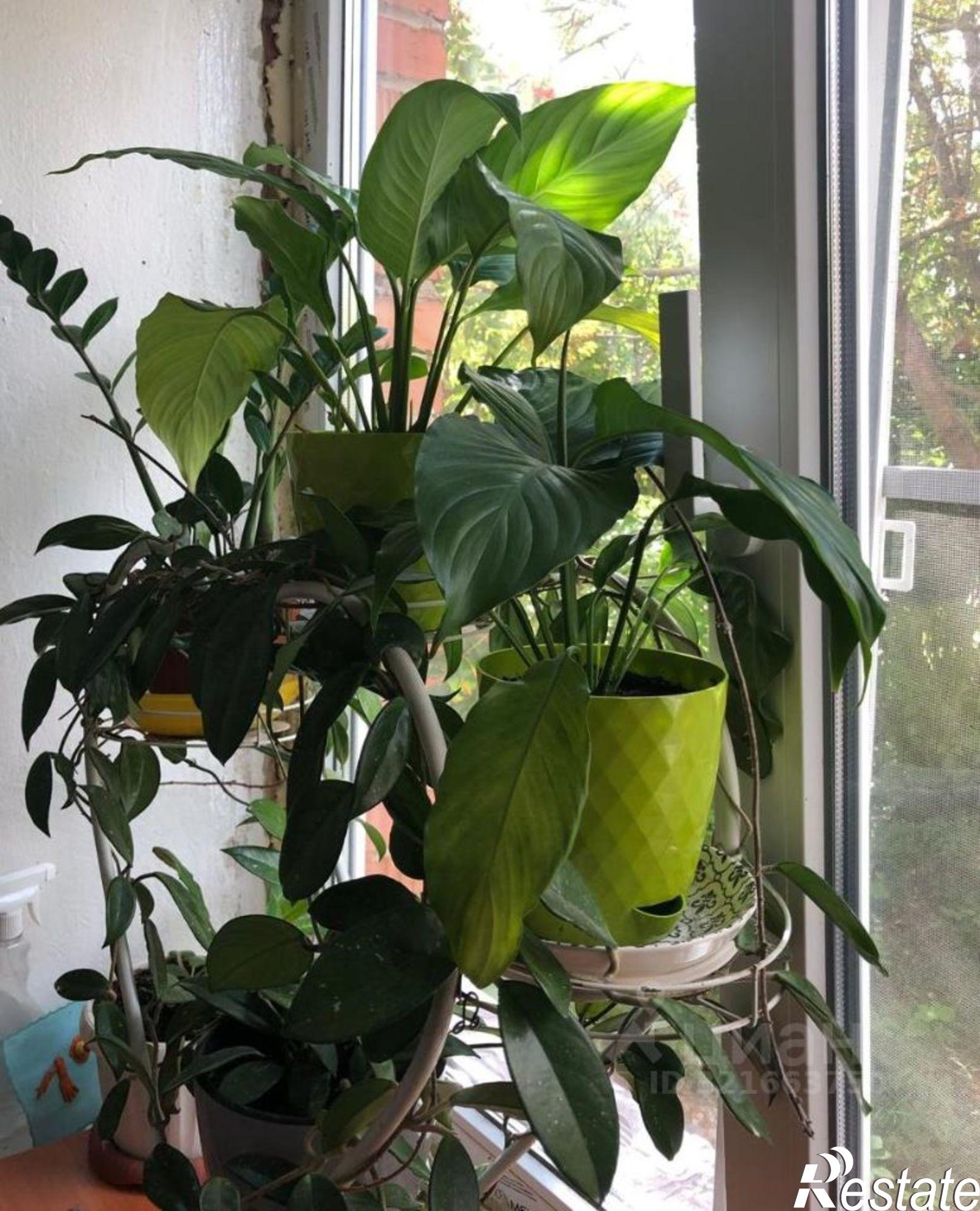 Купить комнату за 2 500 000 рублей на Дальняя улица, 1