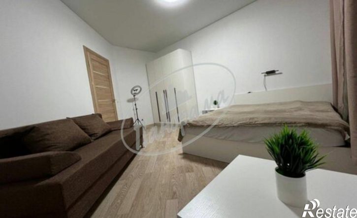 1-комн квартира Хрустальный пер, 29,  д. 29