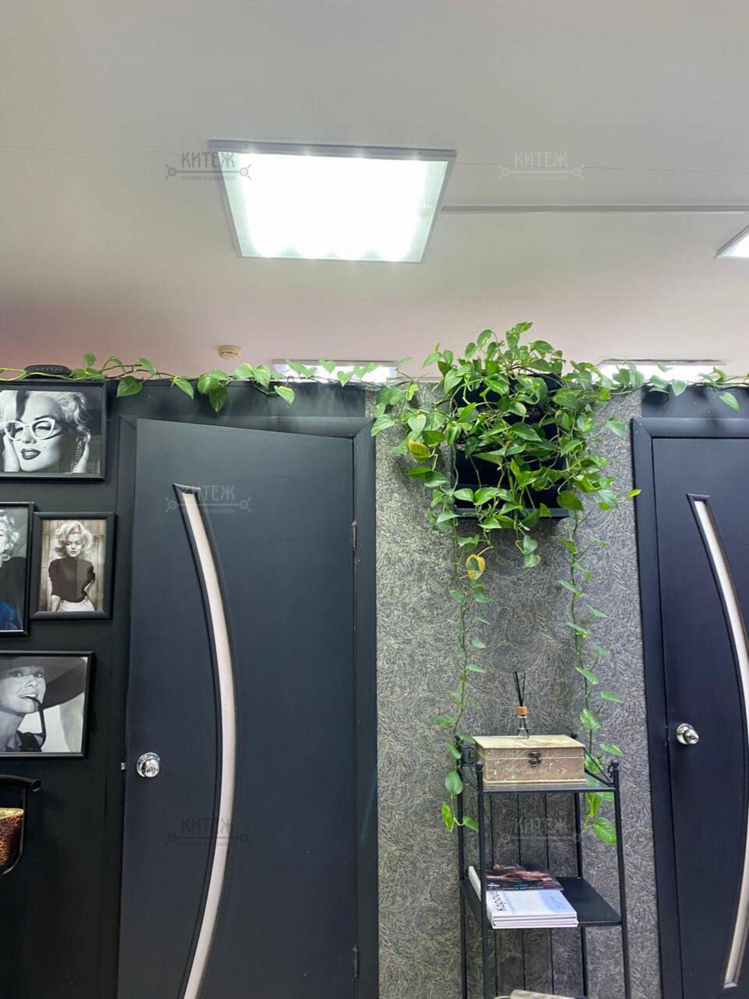 Купить ОСЗ, отдельно стоящее здание за 5 900 000 рублей на Кирова ул, д.74