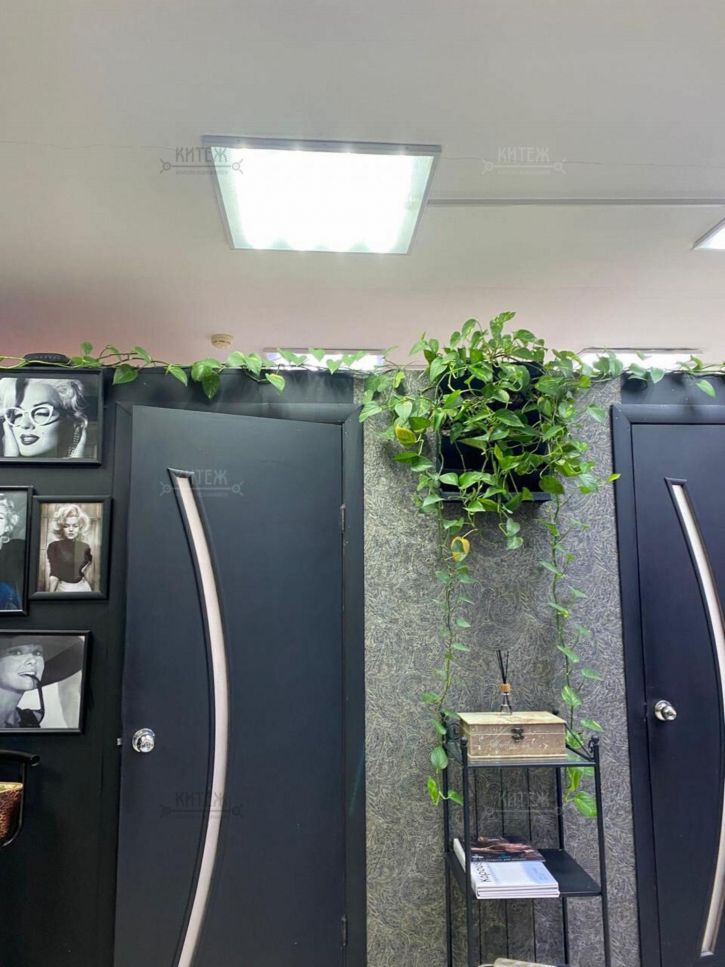 Отдельное здание Кирова ул, д.74