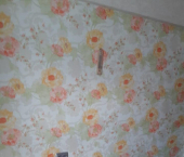 1-комн, 30кв м, этаж 2/5 Телевизионная улица, 13