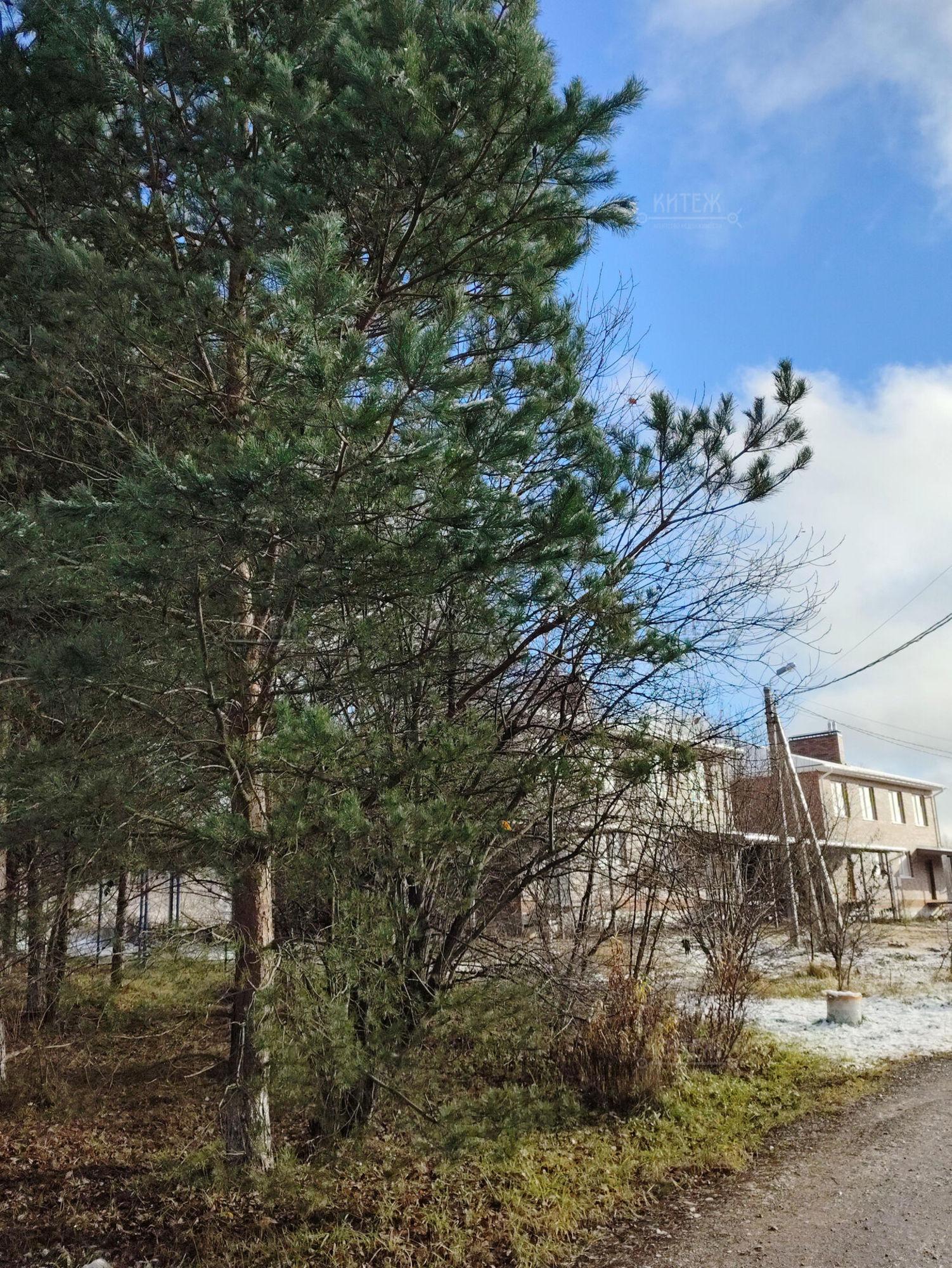 Купить дачу, дом, коттедж за 15 000 000 рублей на Медовая ул, д.1