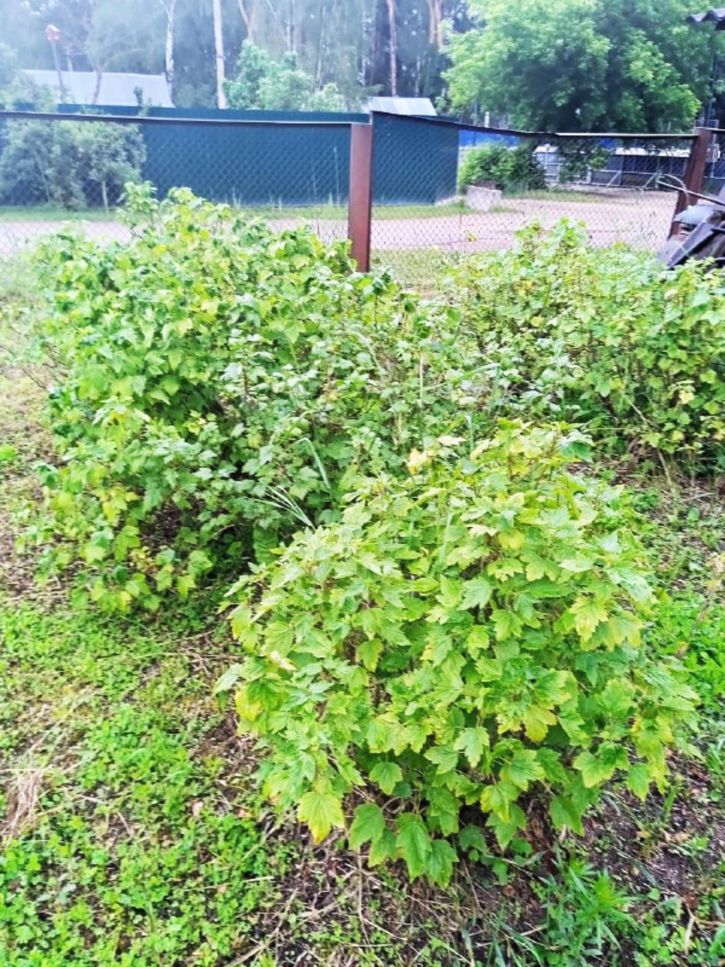 Коттедж/дом Железнодорожная улица, д.5