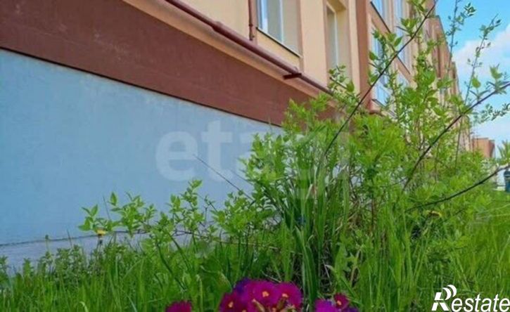 1-комн квартира ул Павла Ягужинского, 2,  д. 2